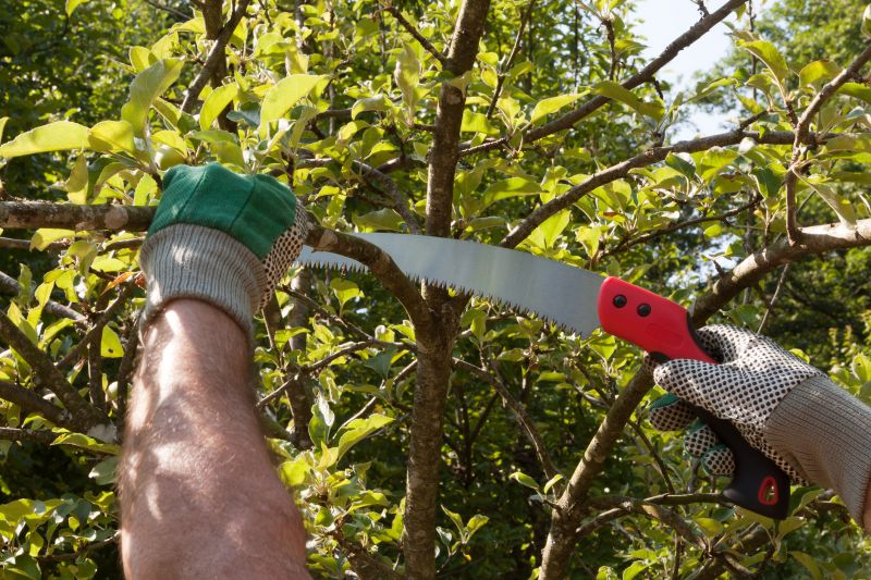 Hemlock Cutting