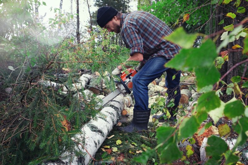 Hemlock Cutting