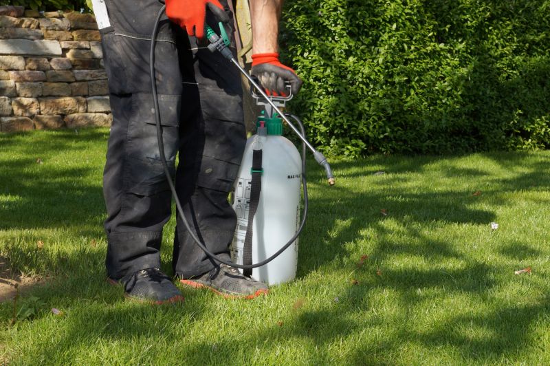 Lawn Health Maintenance